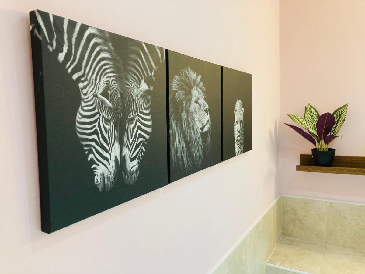 Jungle Escape, City Apartment With Parking & Terrace Chester Eksteriør billede